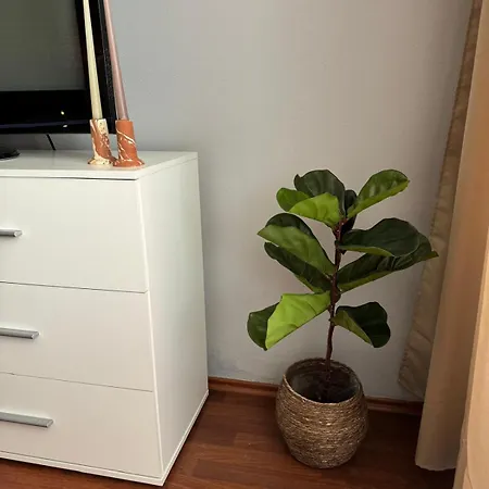 Rodinny V Srdci Piestan